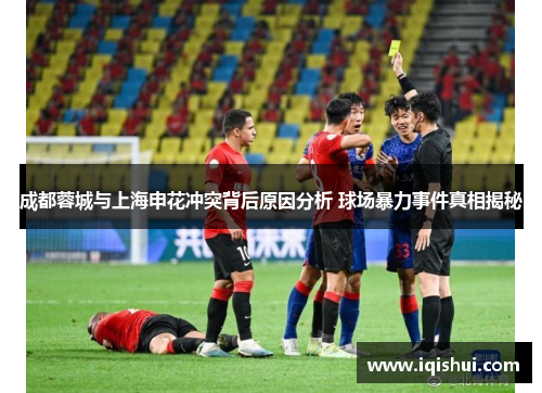 成都蓉城与上海申花冲突背后原因分析 球场暴力事件真相揭秘