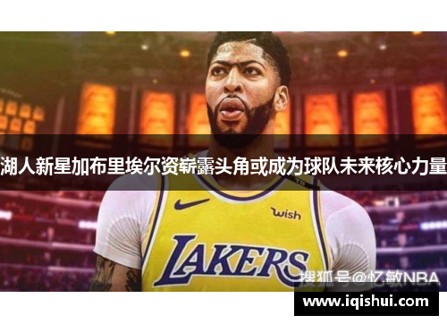湖人新星加布里埃尔资崭露头角或成为球队未来核心力量
