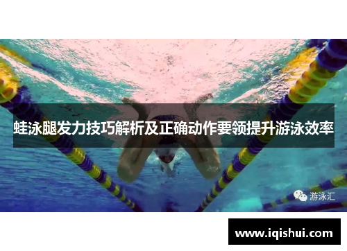 蛙泳腿发力技巧解析及正确动作要领提升游泳效率